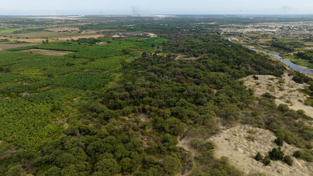 Alerta sobre perda de geleiras e vegetação natural no Peru