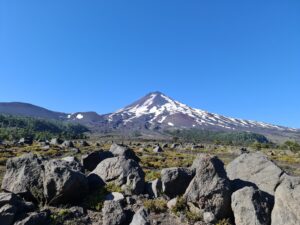 MapBiomas Chile: na região Centro-Sul do país, 500 mil hectares de floresta nativa foram perdidos em duas décadas