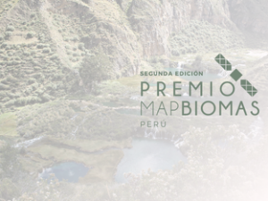 A segunda edição do Prêmio MapBiomas Peru já está em andamento! Saiba como participar