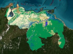 A Venezuela perdeu uma área de cobertura natural equivalente ao tamanho do Delta Amacuro, segundo dados do MapBiomas Venezuela.