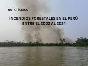 Amazônia peruana foi epicentro de incêndios no país em 2024, revela pesquisa científica