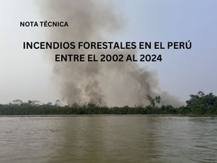 Amazônia peruana foi epicentro de incêndios no país em 2024, revela pesquisa científica