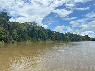 Em duas décadas Peru perdeu quase 71 mil hectares de superfície natural de água, revela estudo do MapBiomas