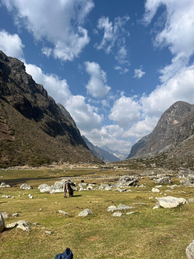 Peru perdeu 4,1 milhões de hectares de vegetação natural em 40 anos