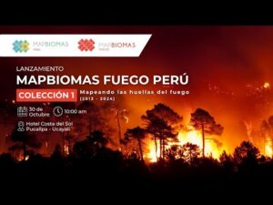 Lançamento da Coleção Fuego Peru Mapbiomes 1