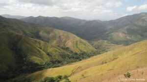 MapBiomas Venezuela: 40 anos de cobertura da terra e mudança no uso da terra no país