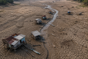 Amazônia recupera superfície de água após dois anos de seca severa
