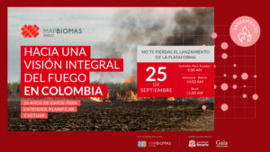Lançamento MapBiomas Fuego: rumo a uma visão abrangente do fogo na Colômbia